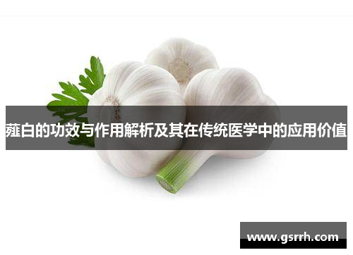 薤白的功效与作用解析及其在传统医学中的应用价值 薤白的功效与作用解析及其在传统医学中的应用价值