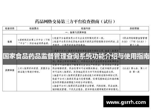 国家食品药品监督管理查询系统功能介绍与使用指南