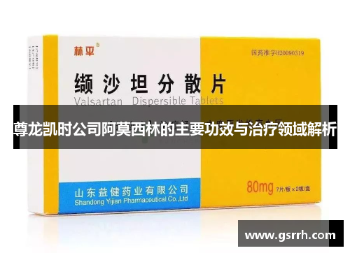 尊龙凯时公司阿莫西林的主要功效与治疗领域解析 尊龙凯时公司阿莫西林的主要功效与治疗领域解析