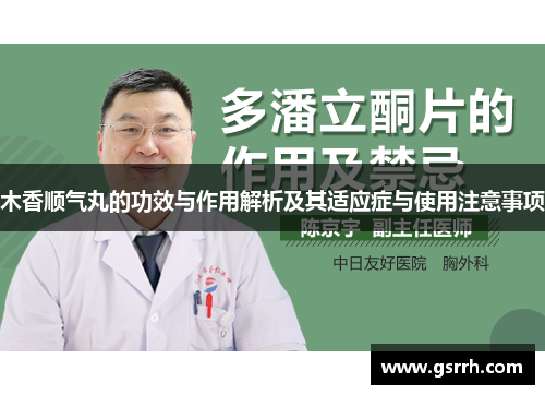 木香顺气丸的功效与作用解析及其适应症与使用注意事项 木香顺气丸的功效与作用解析及其适应症与使用注意事项